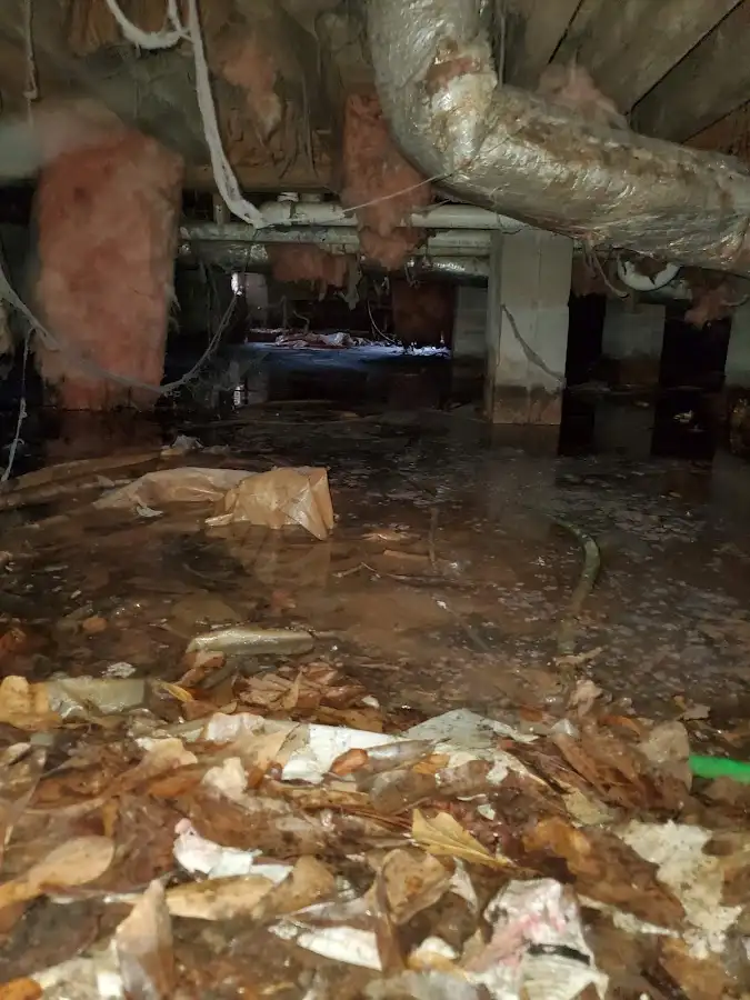 Crawl space flood assessment for Leak Detection & Repair in Morton Grove