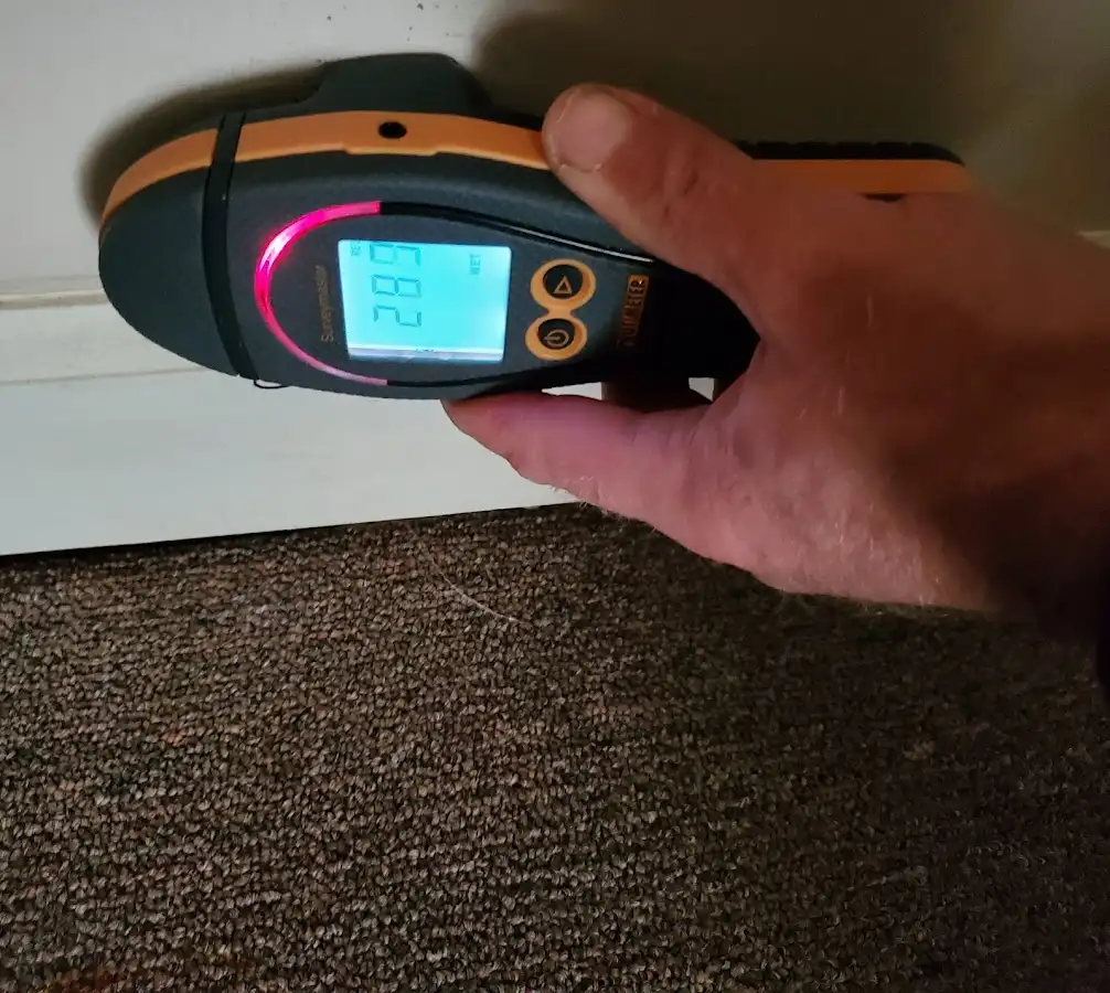 Moisture detection at baseboard during Sewage Cleanup & Sanitation in Morton Grove